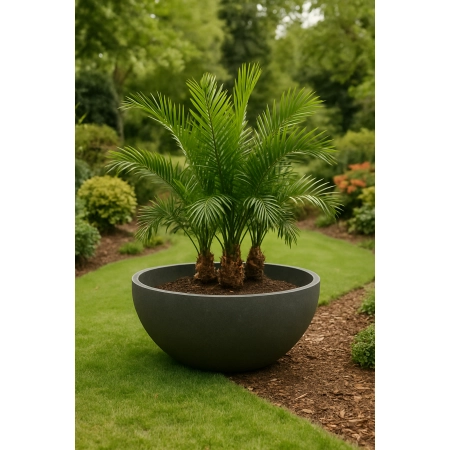 Donica betonowa VIENNA S Ø260 × 600 mm – Talerz Betonowy